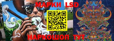 спиды Обь