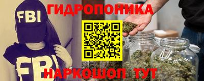 спиды Обь