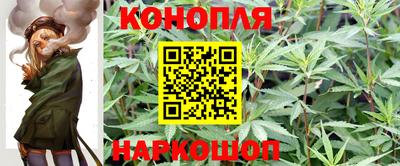 эйфоретик Партизанск
