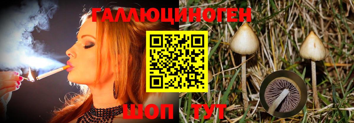 Галлюциногенные грибы Psilocybine cubensis  Вход с VPN  Нефтеюганск 